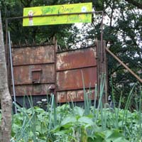 jardin