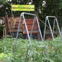 jardin