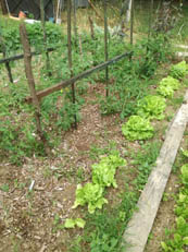 jardin