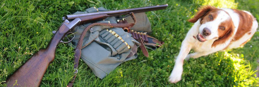 chasse