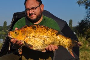 Inter club rongeres 09.2014 006