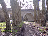 Pont sur L'Arnon