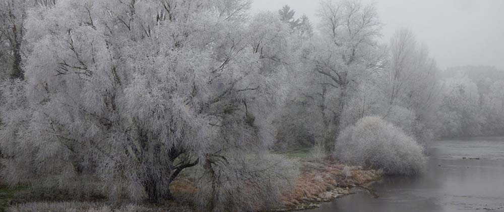 Matin d'hiver