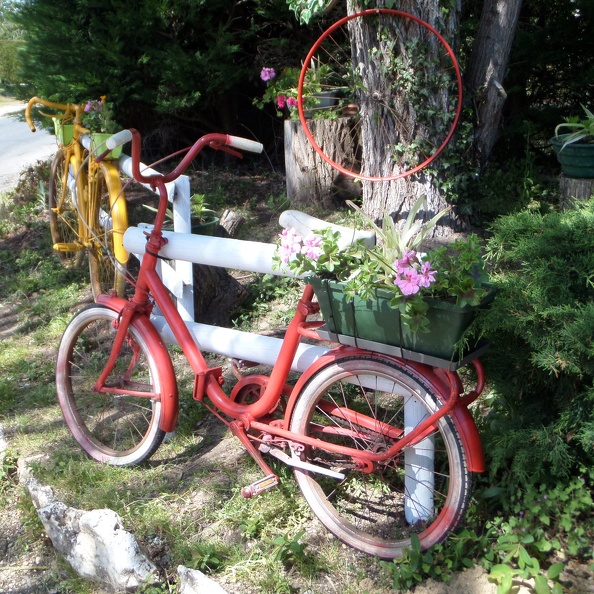 60630225 2278956679026335 9010822330238107648 o