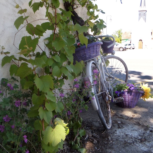 60776915 2278961139025889 496094909103603712 o