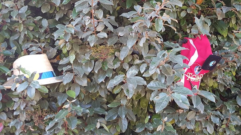 97993989 2932857706780153 4343958342972997632 n